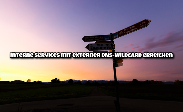 Interne Services mit externer DNS-Wildcard erreichen