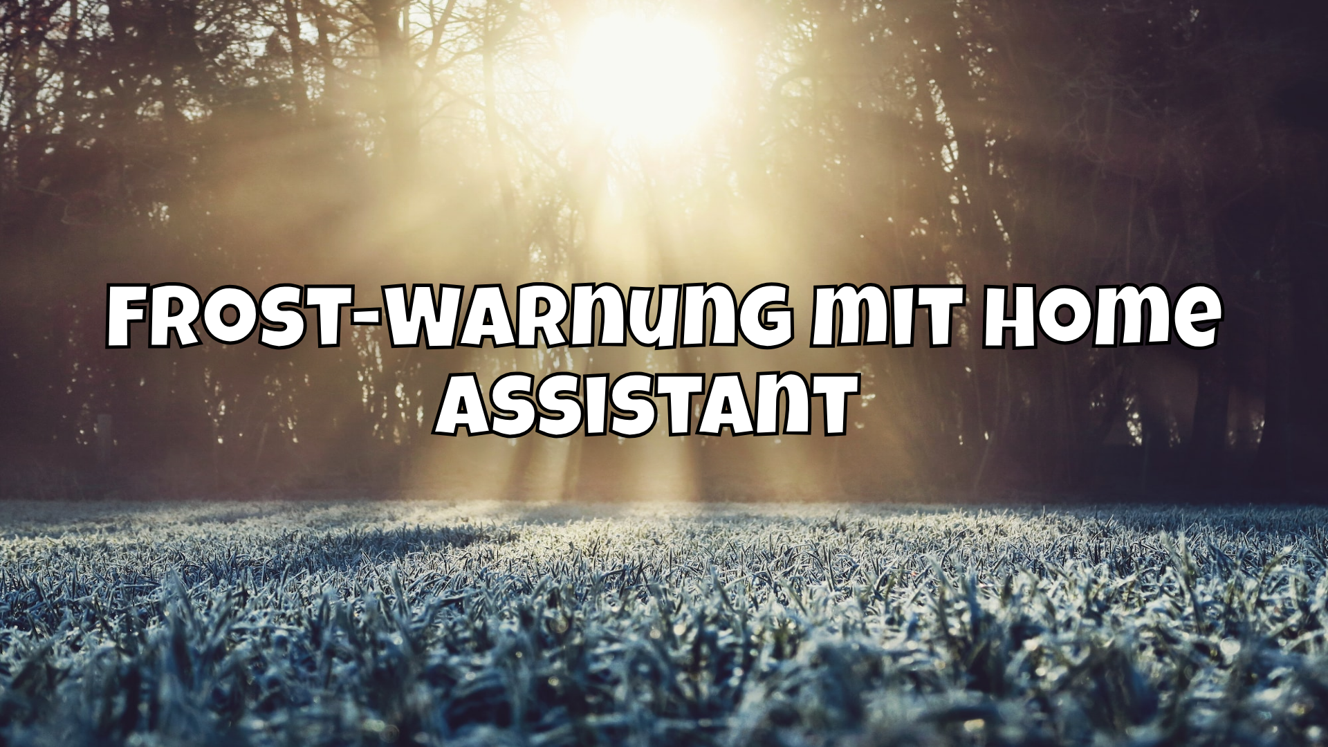 Frost-Warnung mit Home Assistant 🥶