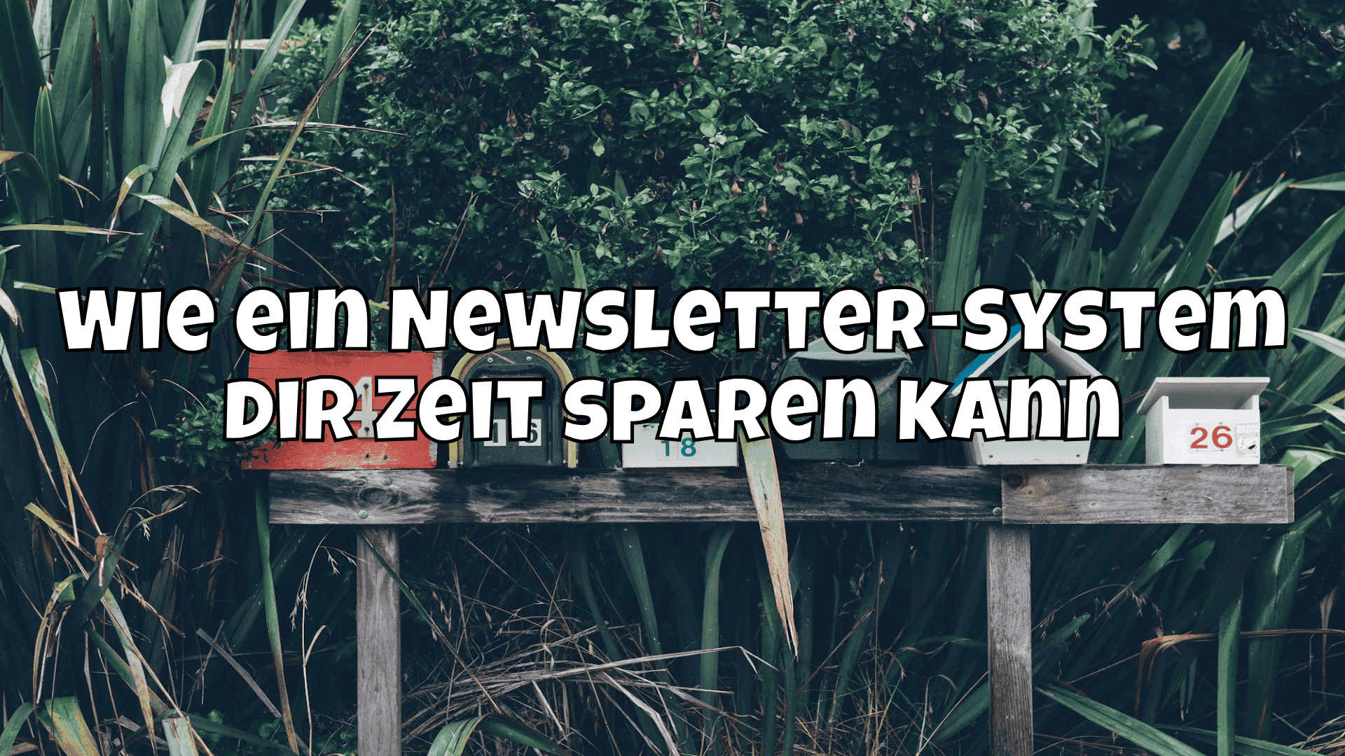 Wie ein Newsletter-System dir Zeit sparen kann